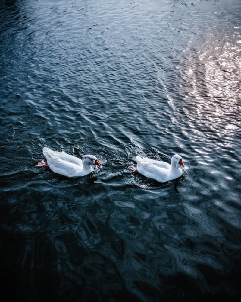 Photograph by Руслан