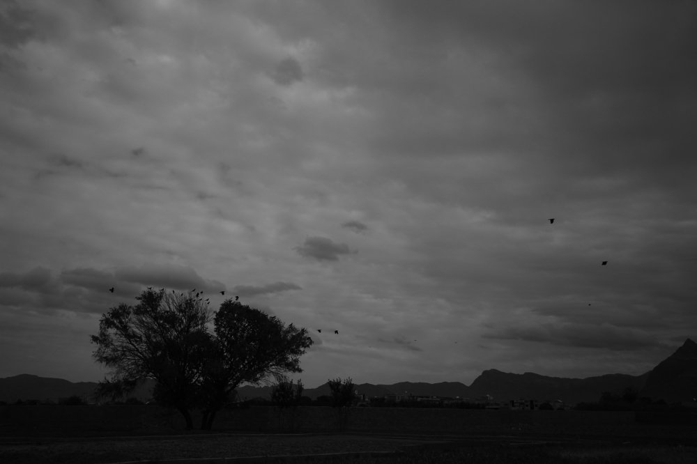 Photograph by Hamidreza Beheshtian