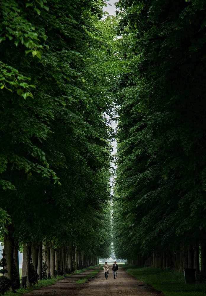 Photograph by Nebojša Kovač