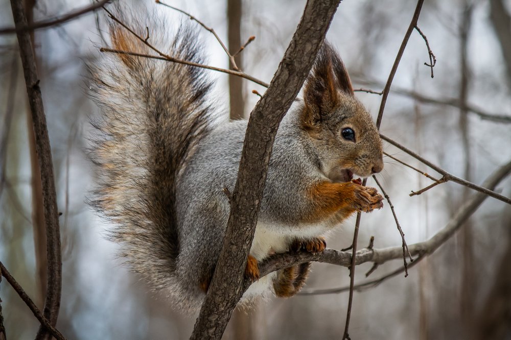Photograph by Елизавета Жарина