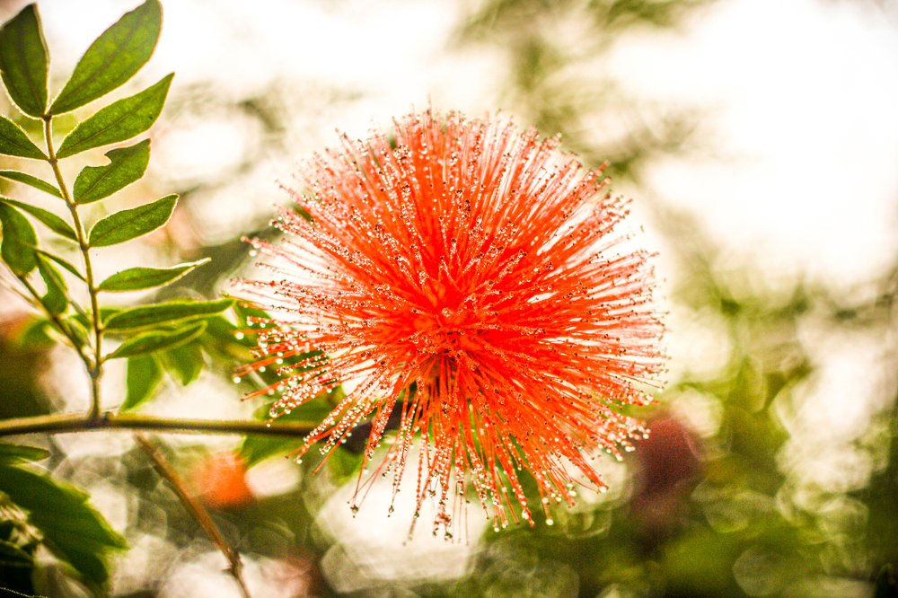 Photograph by Clara Mernes