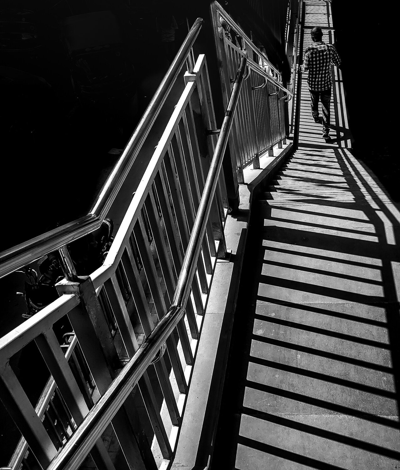 Photo #4455562