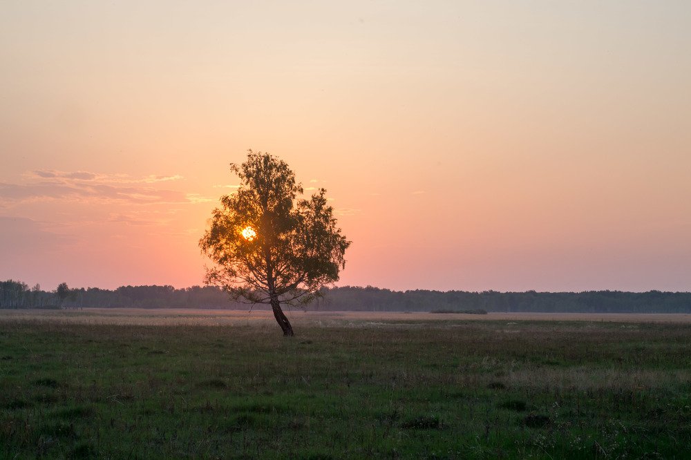 Photograph by Евгения Антропова