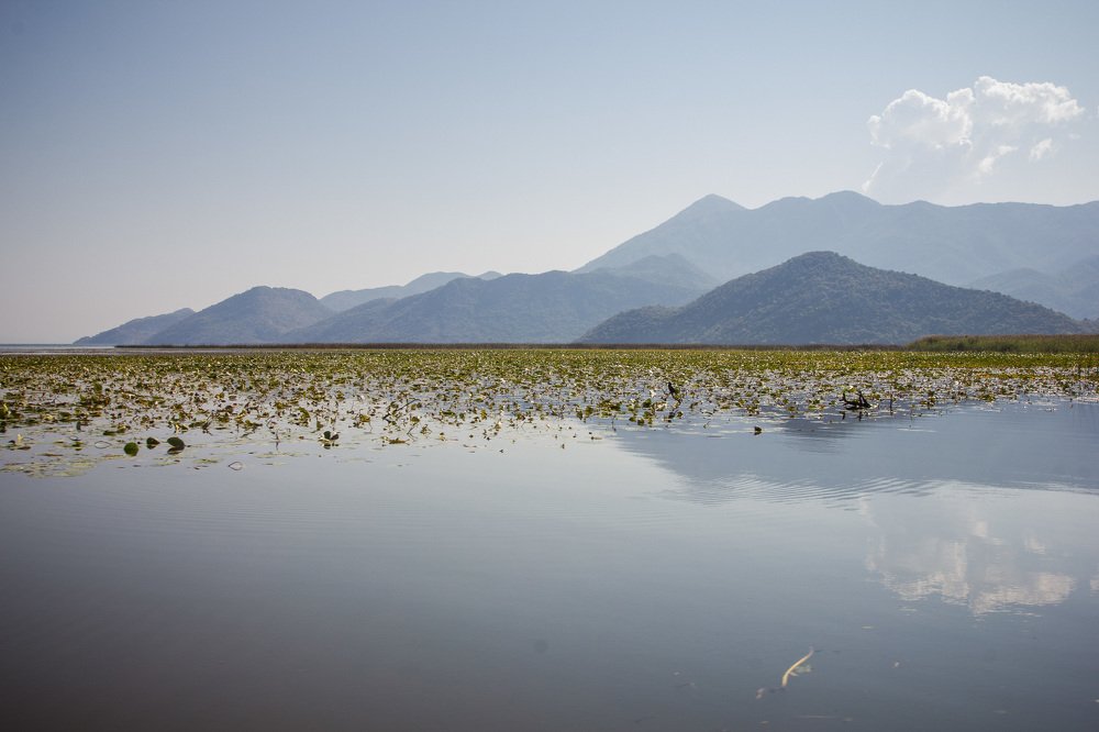 Photograph by Елена Абрамова