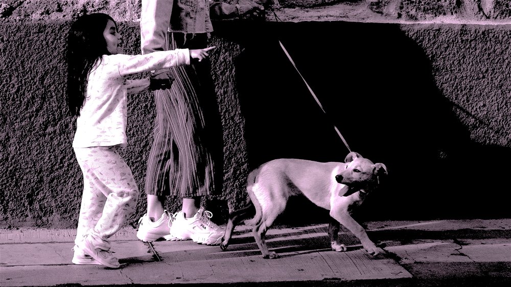 Three girls, eight feet.