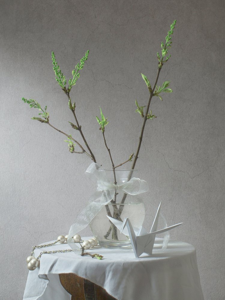 Натюрморт с молодыми веточками и оригами