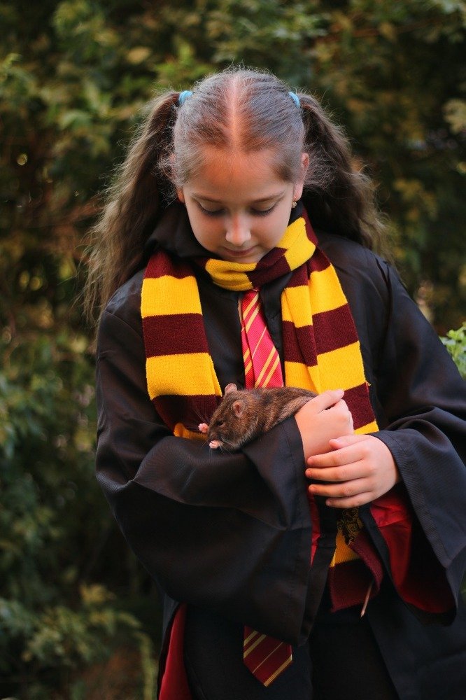 Photograph by Саманта Начкебия