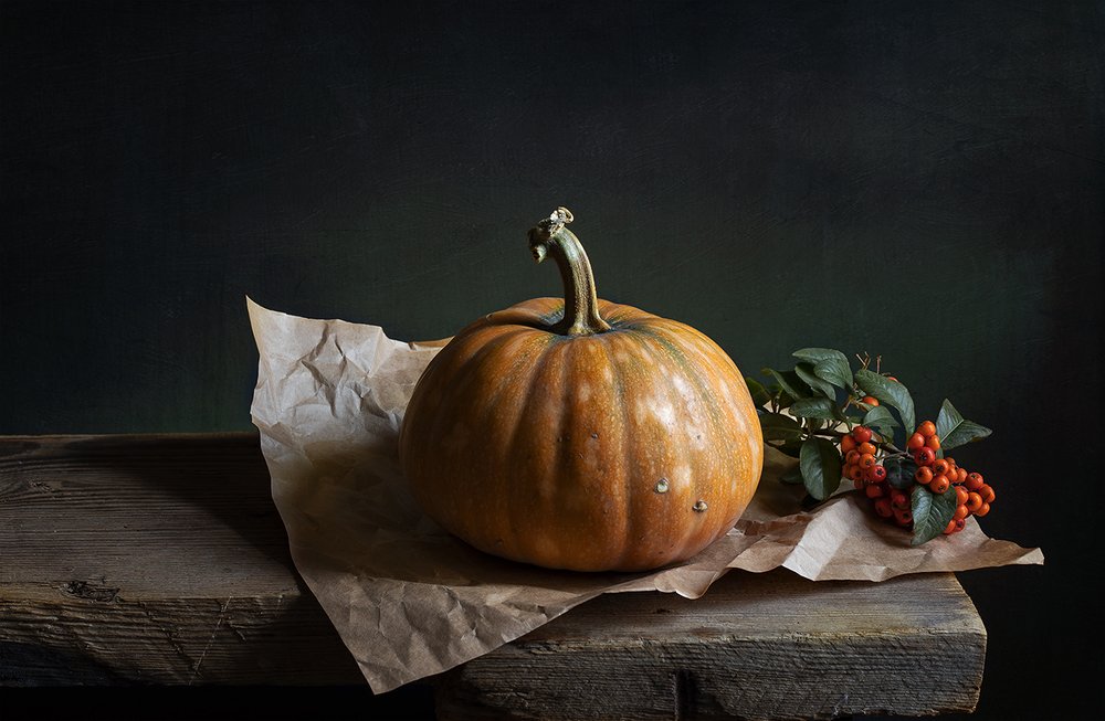 Тыква и веточка пираканты