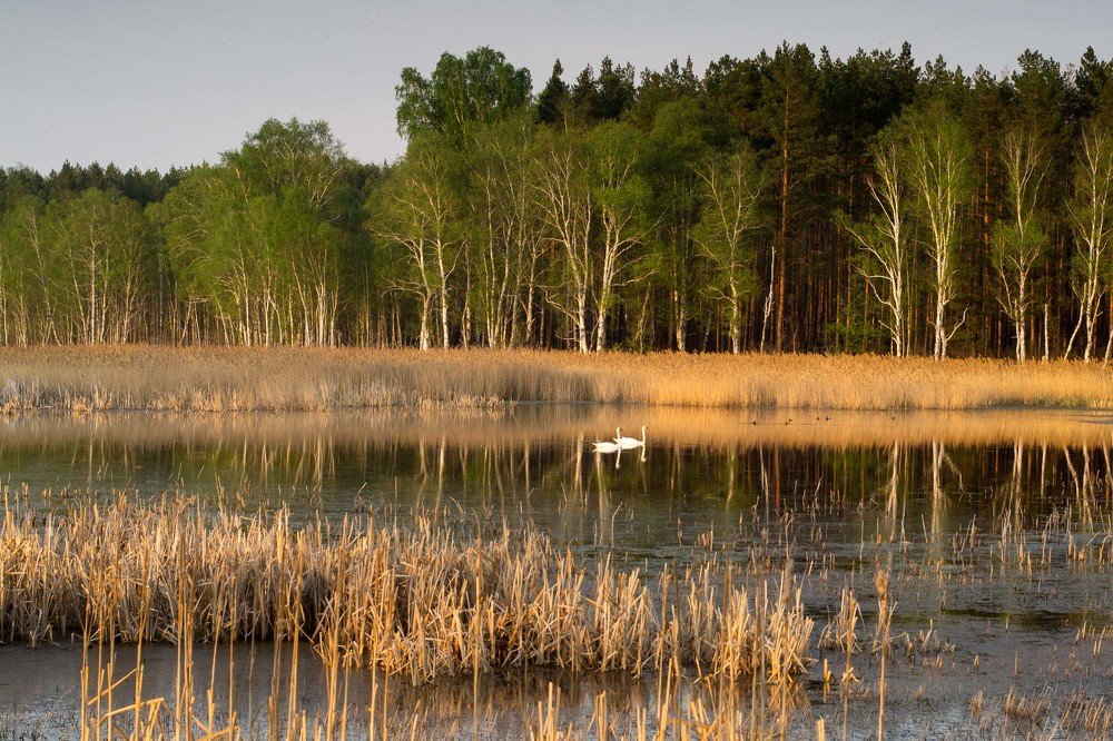 Photograph by Евгения Антропова