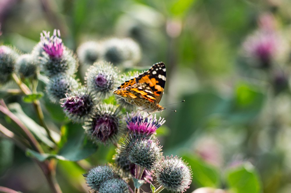 Photograph by Евгения Антропова