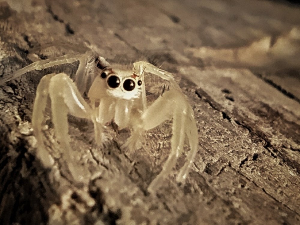 Photograph by Nandi Sharma