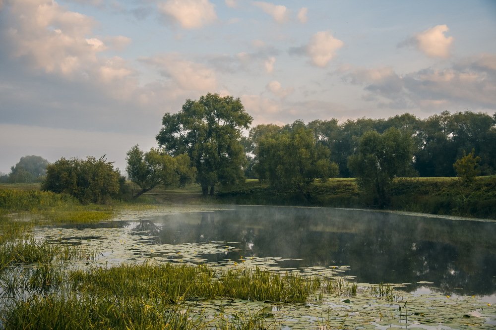 На старинном пруду.