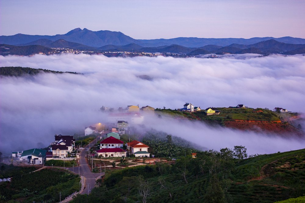 Photograph by Thinh Pham