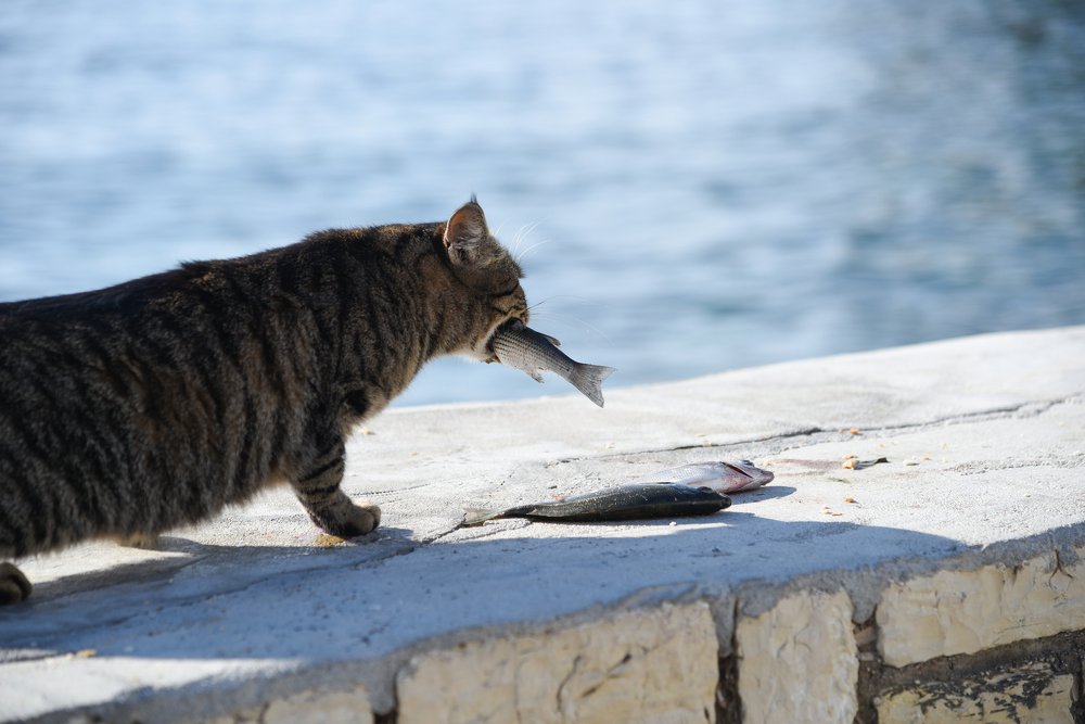 Photograph by Marina Lypiridou