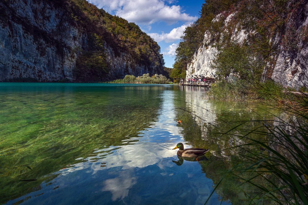 Photograph by YURI GARNAGA