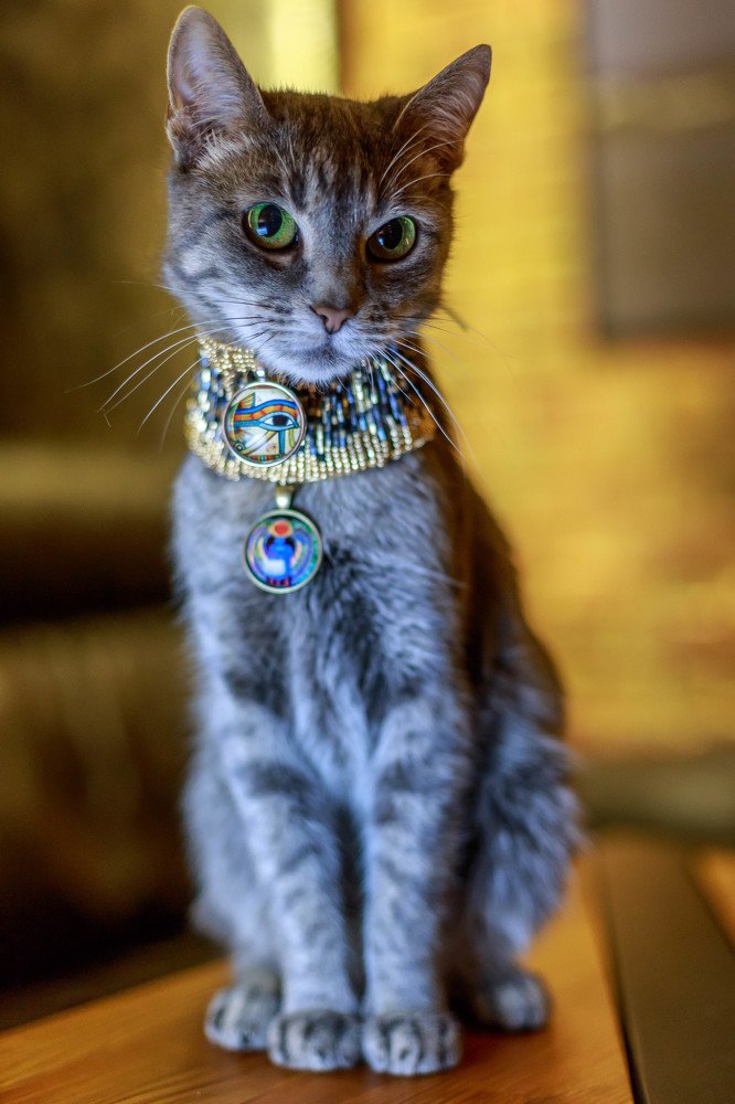 Photograph by Артем Талмаза