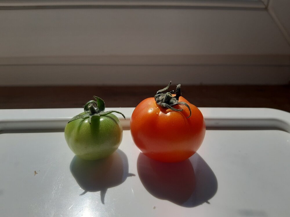 Photograph by Инна