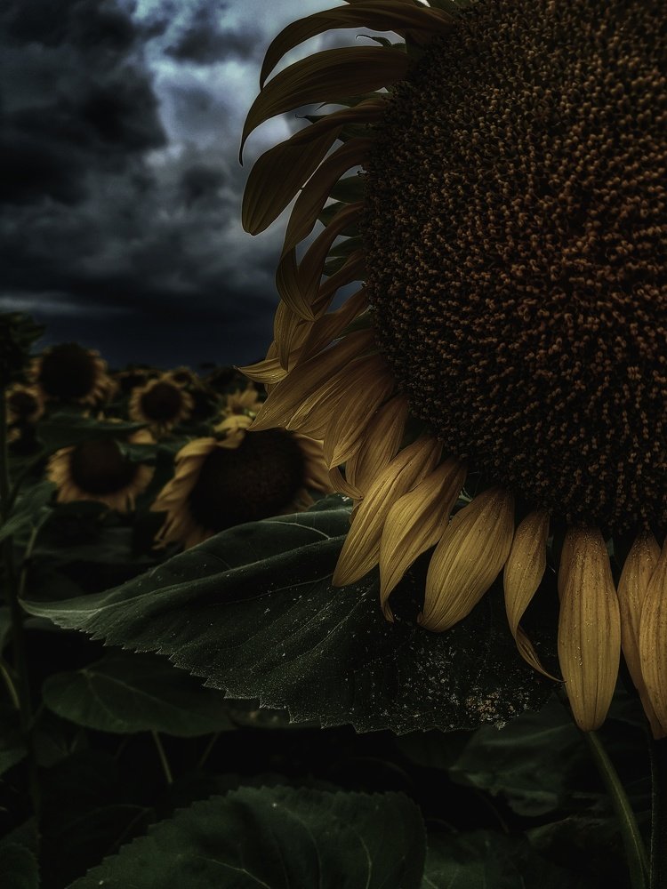 Photograph by Виктор Литошик