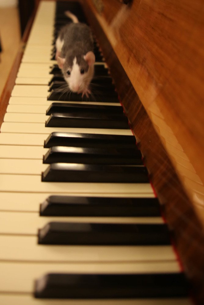 Photograph by Максим Никитин