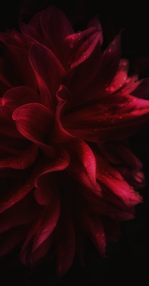 Photograph by Виктор Литошик