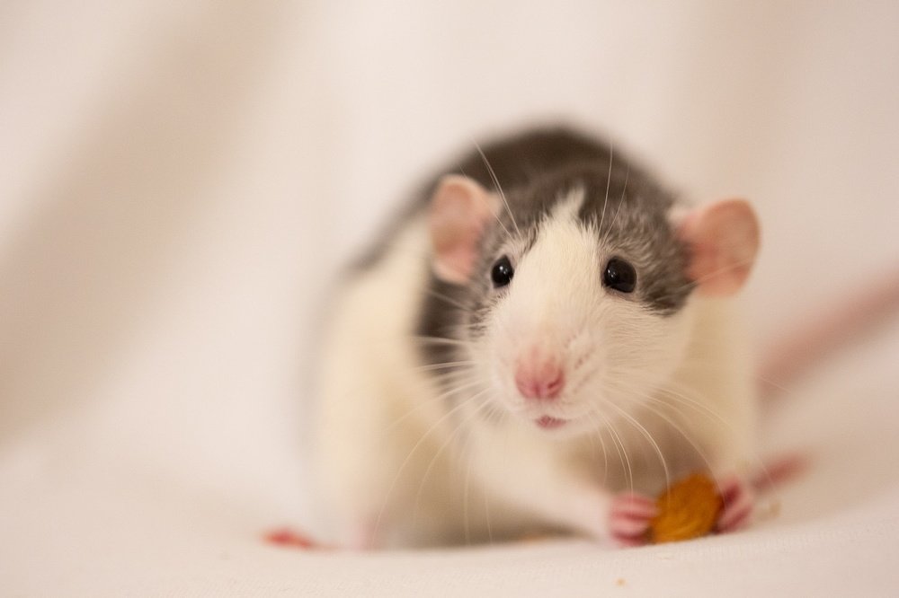 Photograph by Максим Никитин