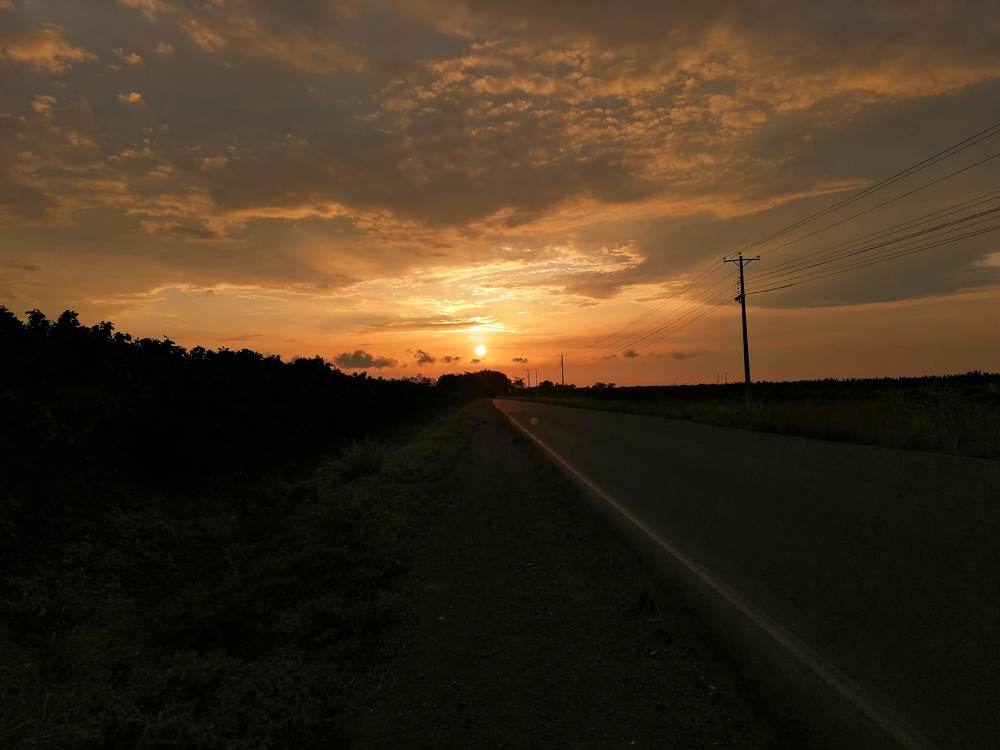 Photo #4456223