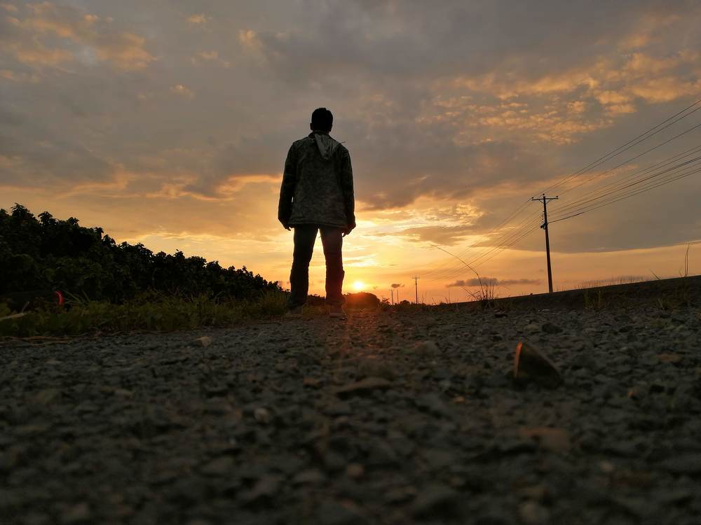 Photo #4456232