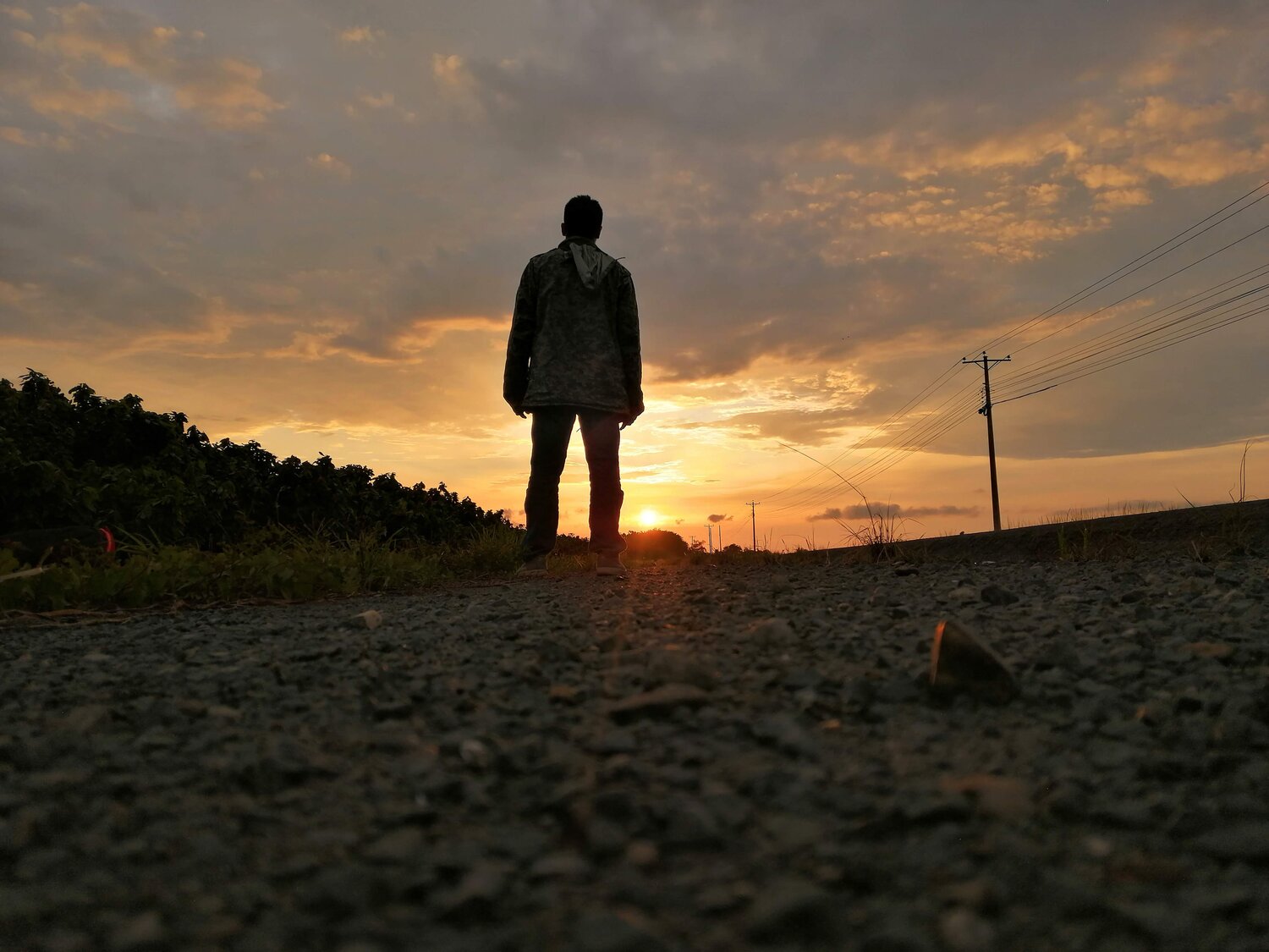 Photo #4456232