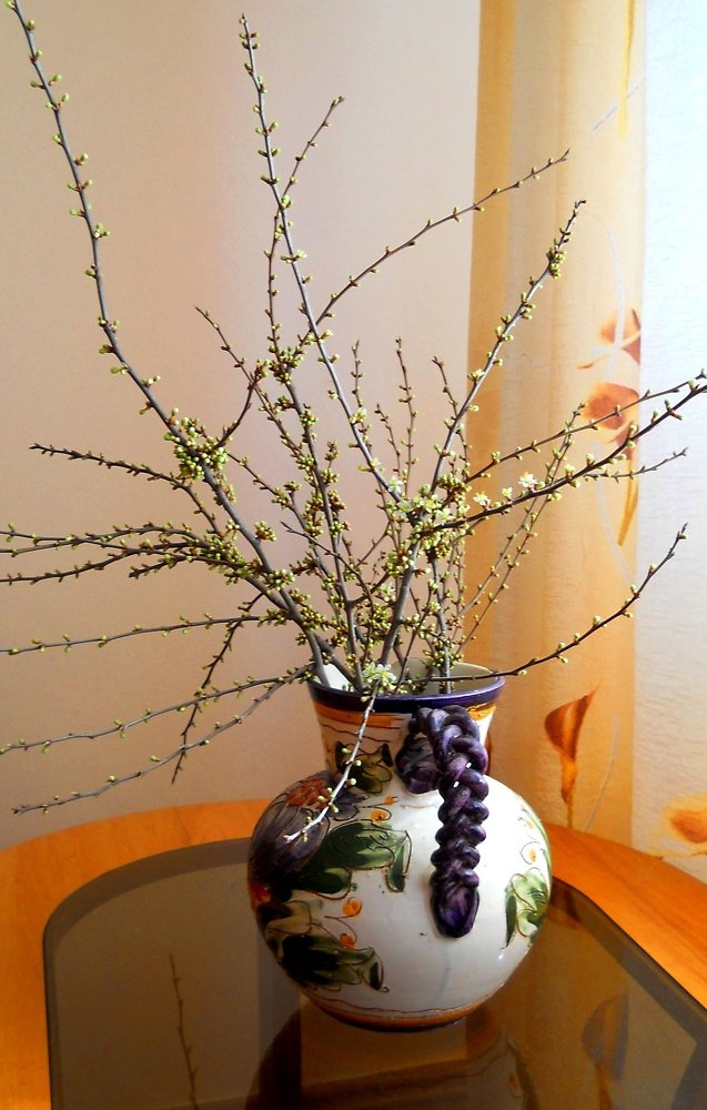 Photograph by Luminița Elena Cummings