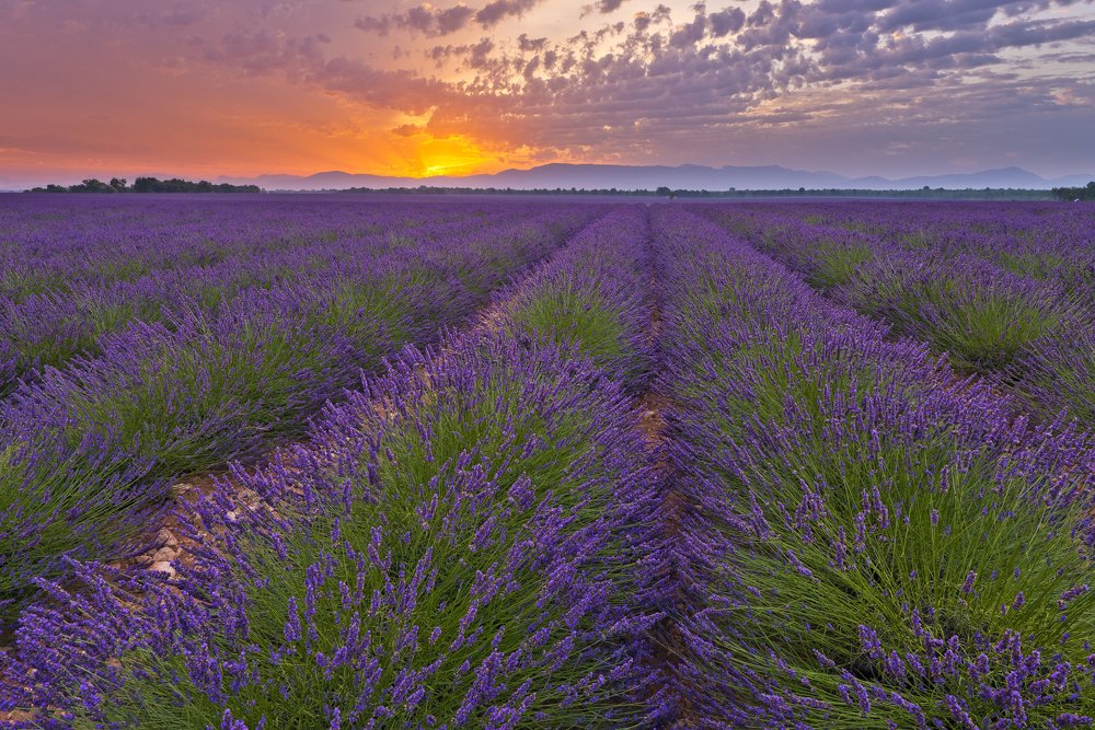 Фотография автора Paolo Barbarini