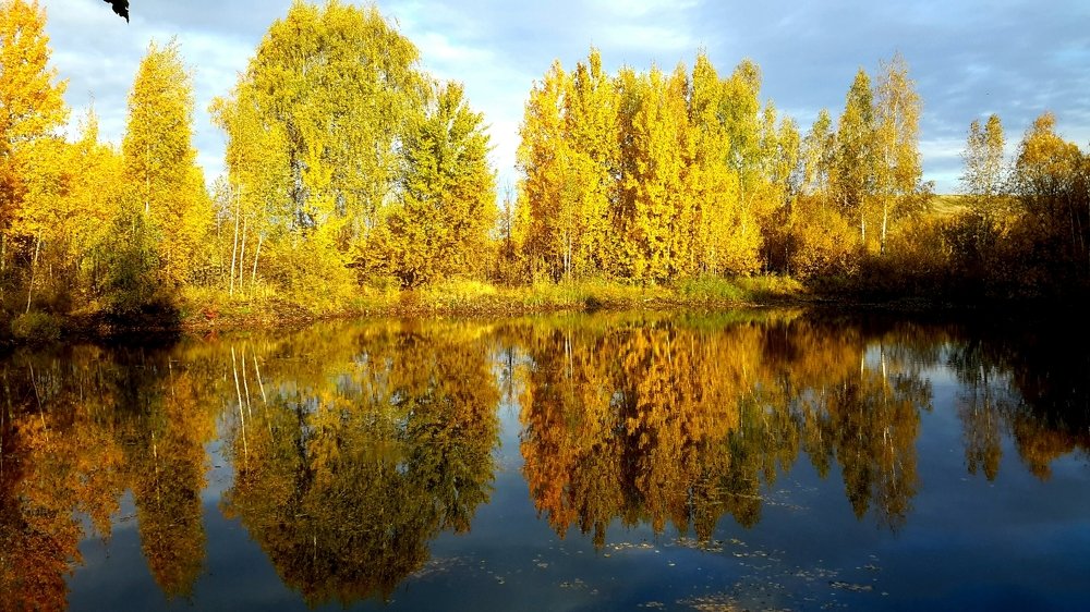 Photograph by Борис Каширин