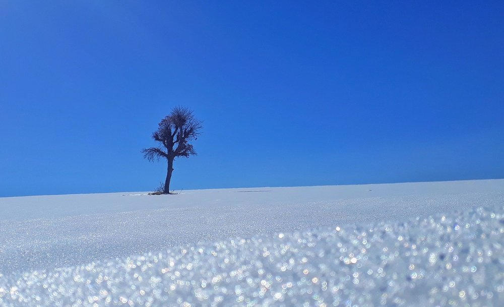 Photograph by omid zarei