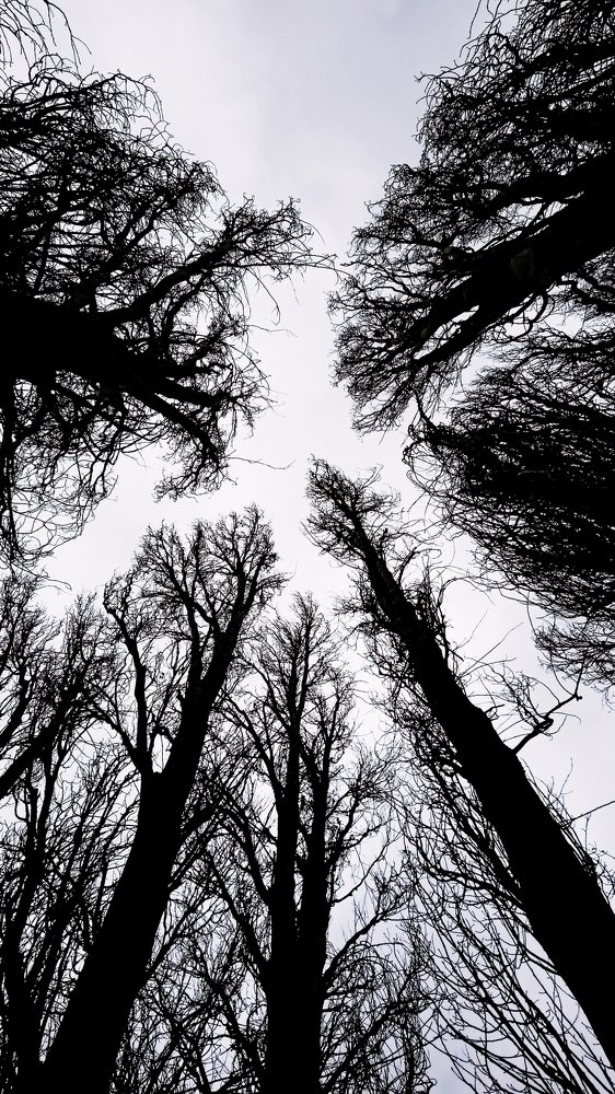 Photograph by kamiar hoseinipour