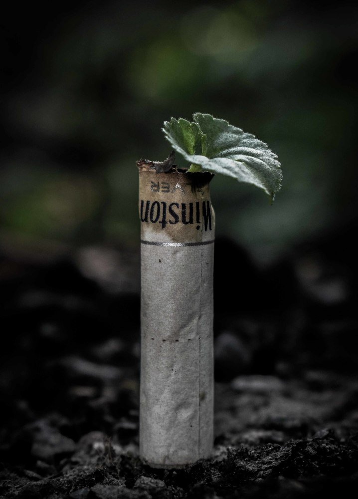 Фотография автора Mohammad amin Naderloei