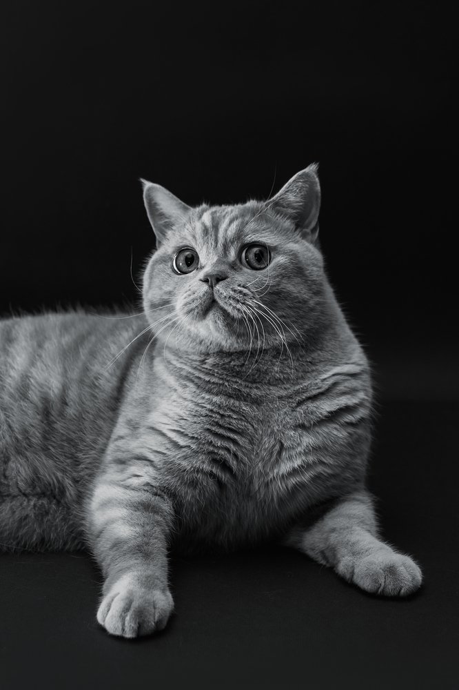 Photograph by Дарья Аниськова