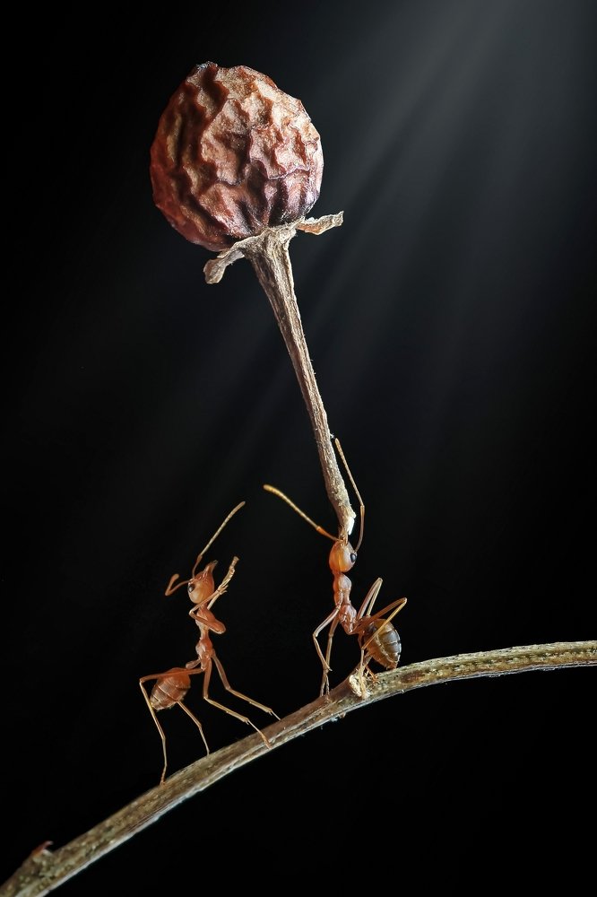 Photograph by denny andhika