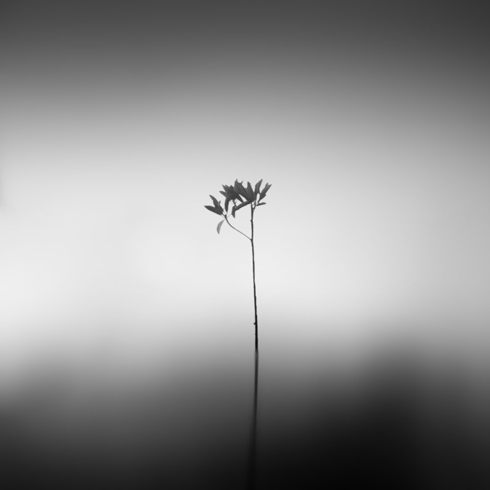 Photograph by zulkifly