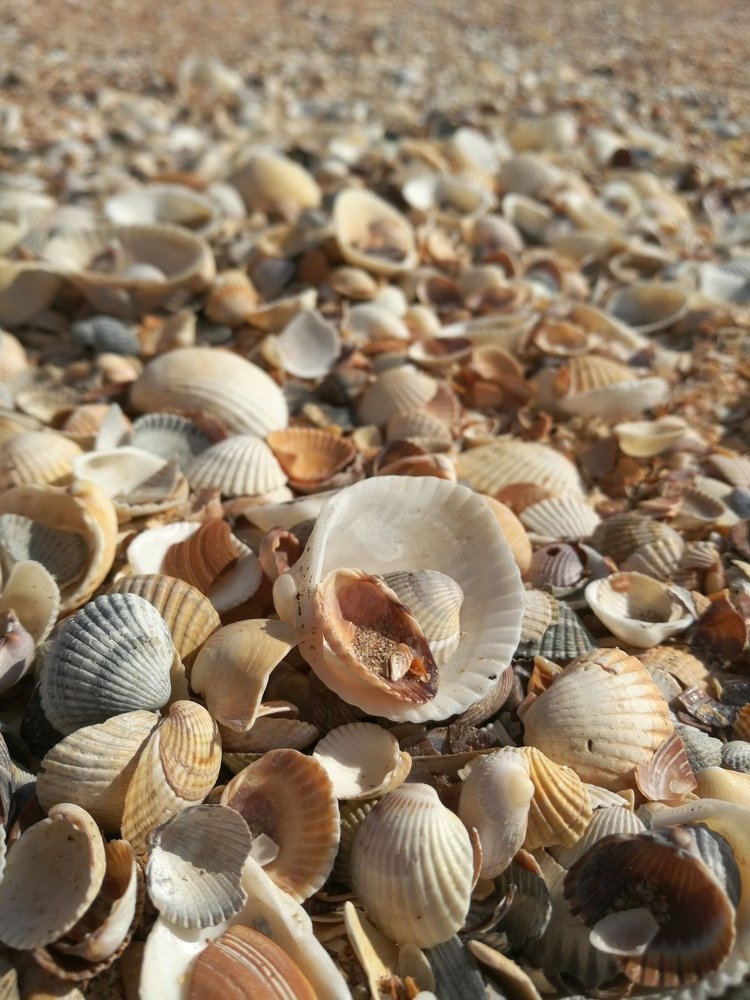 Photograph by Анатолий Пискалов