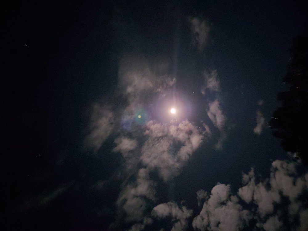 Night shine