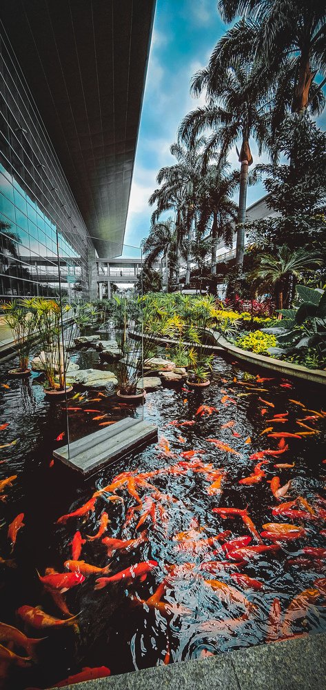 Photograph by Fernando Martinez