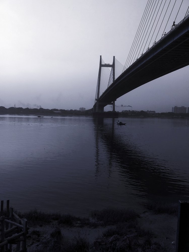 Photo #4456543