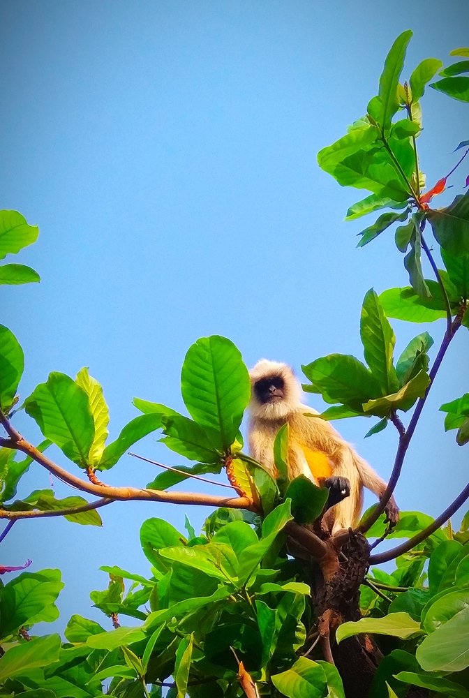 Фотография автора Parag Purkar