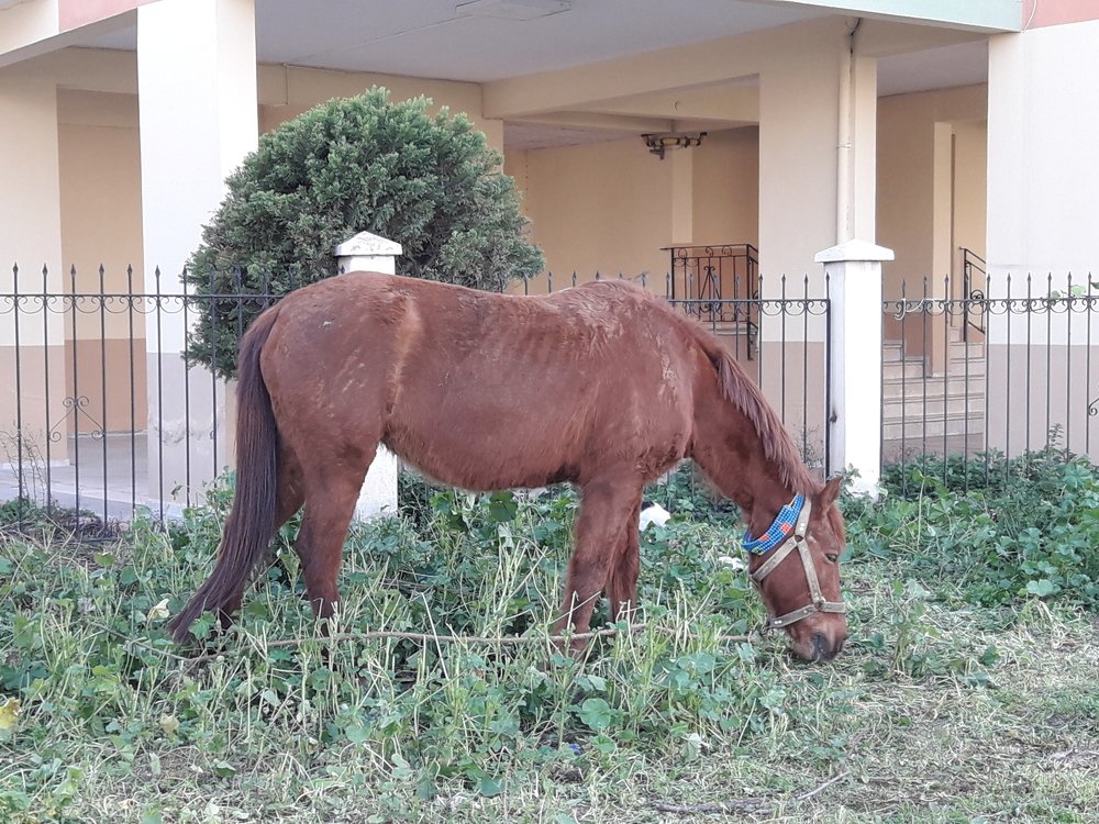 Photograph by Sedef Onum