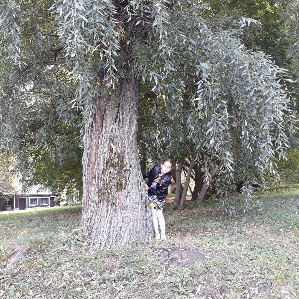 Photograph by Саманта Начкебия