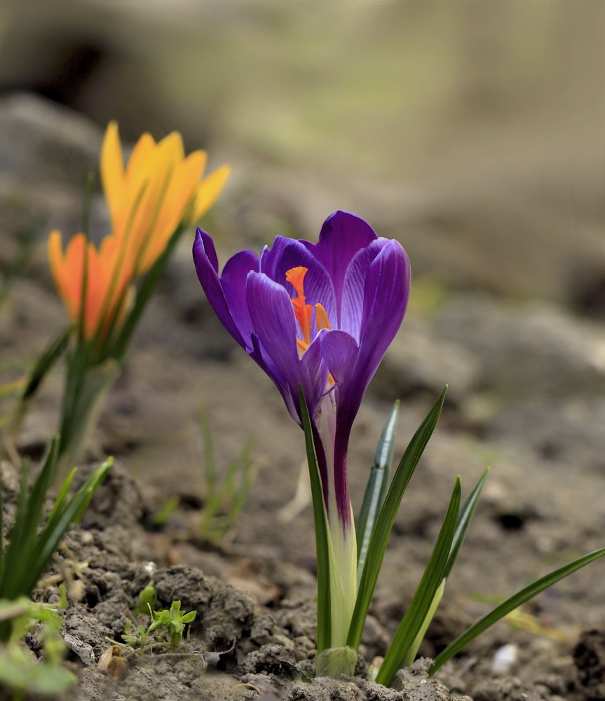 Photograph by Валерий Басыров