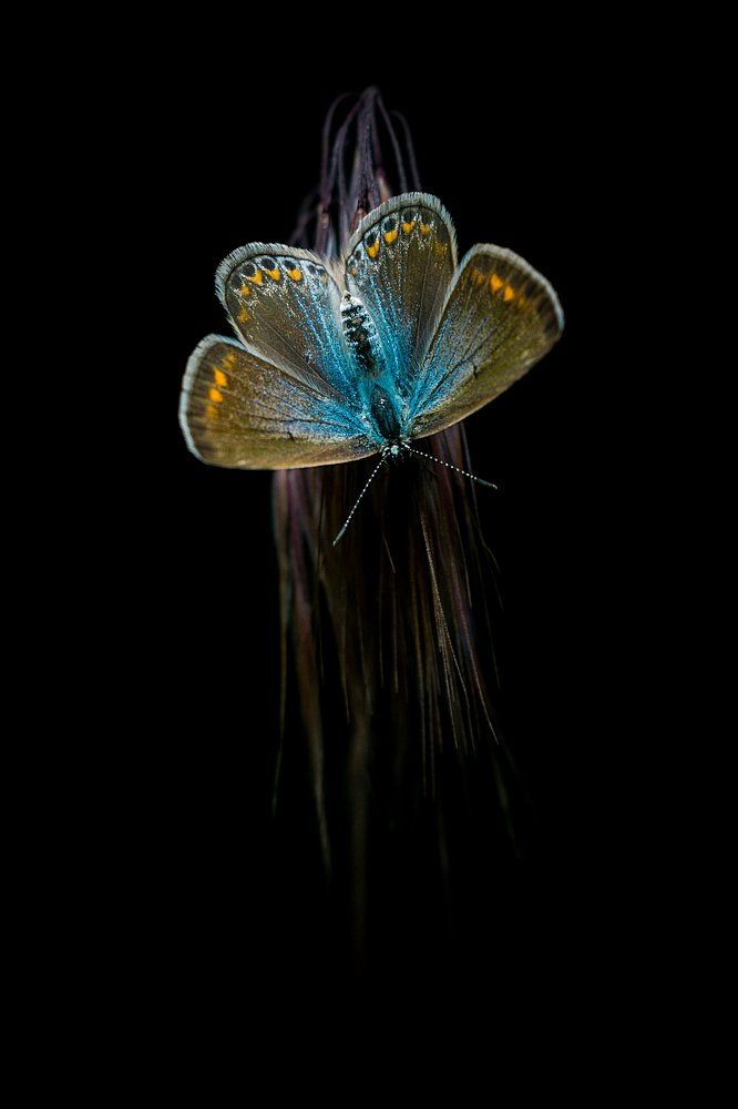 Photograph by Mahdi Sarikhani