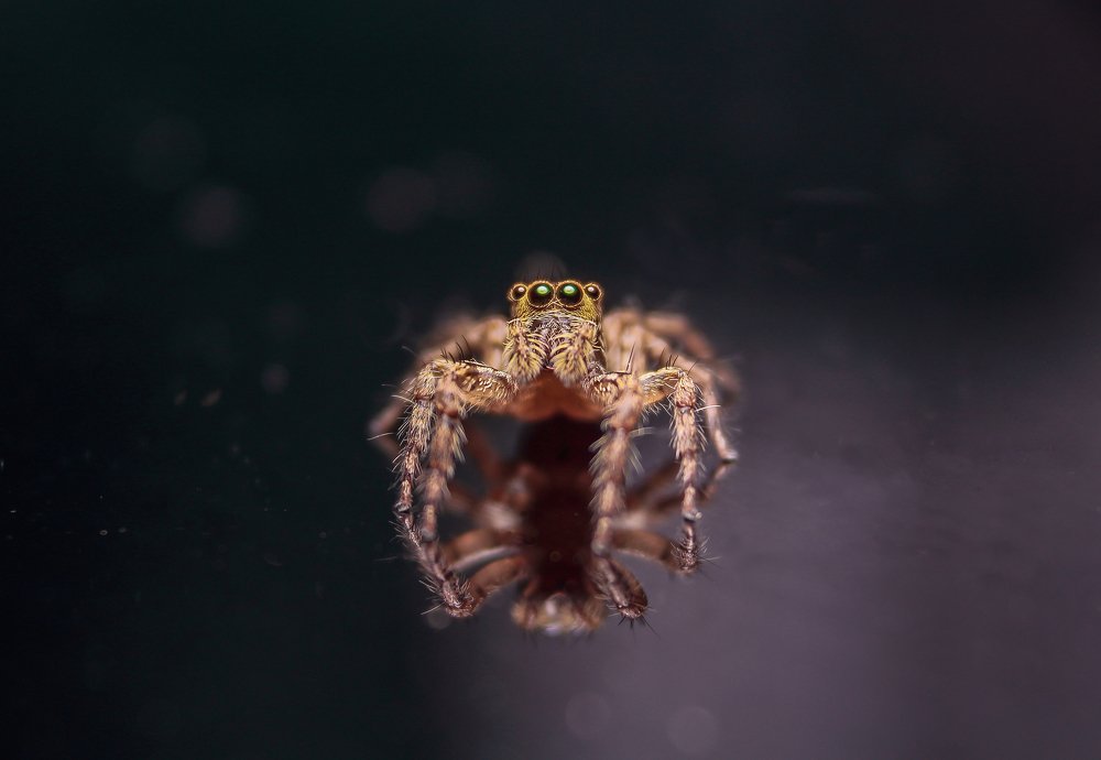 Photograph by Yusuf Buchari