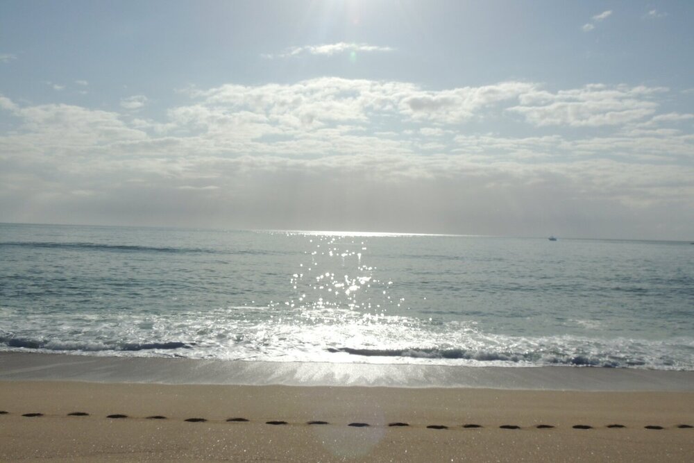 Photograph by francisco jordão