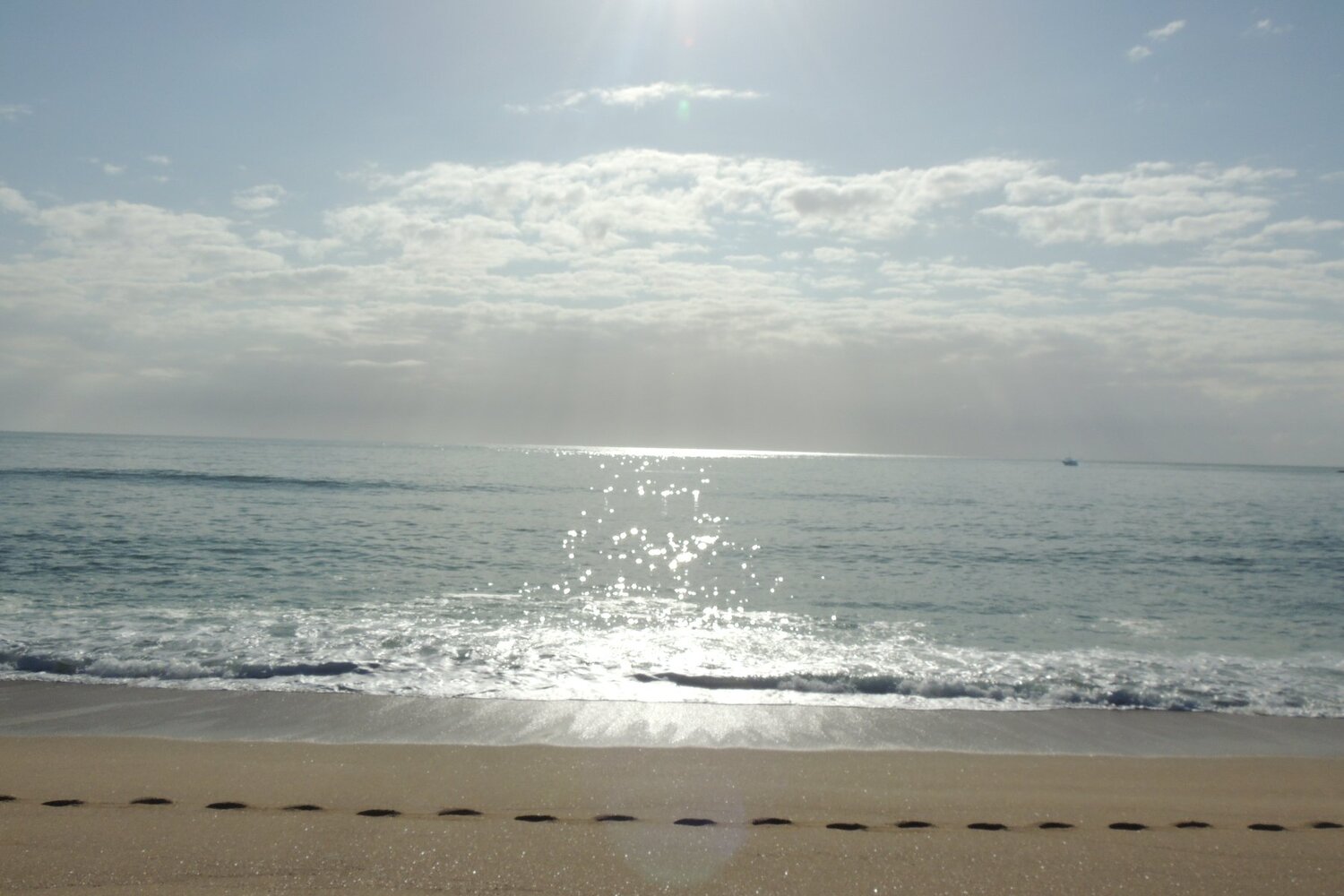 Photo #4456967