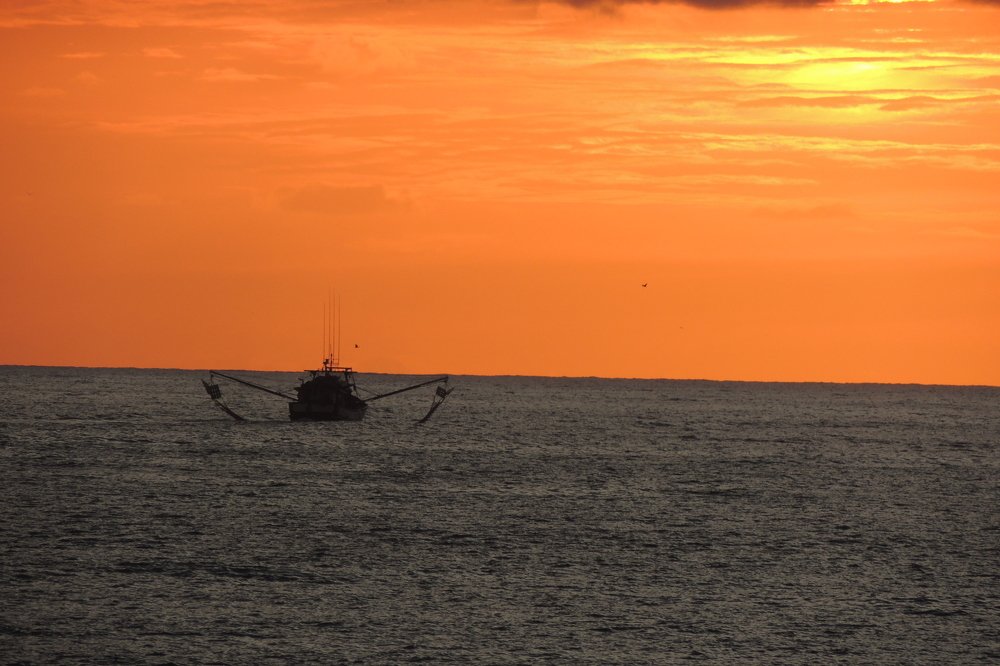 Photograph by francisco jordão